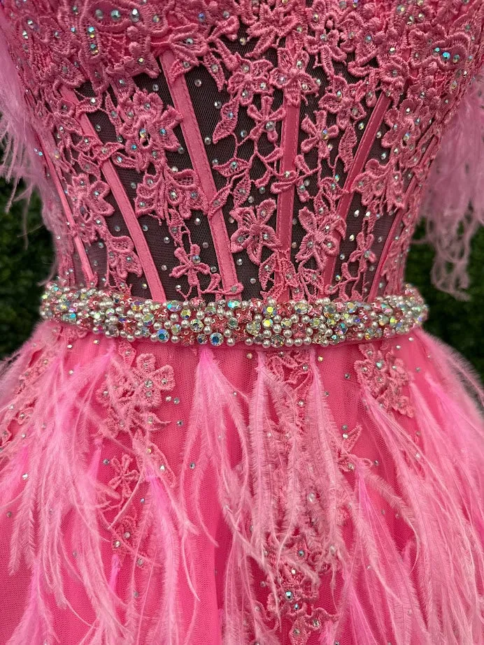 Ashley Lauren 11447 Size 4 Pink Long off the shoulder Feather Ball Gown Prom Dress Lace Corset Formal