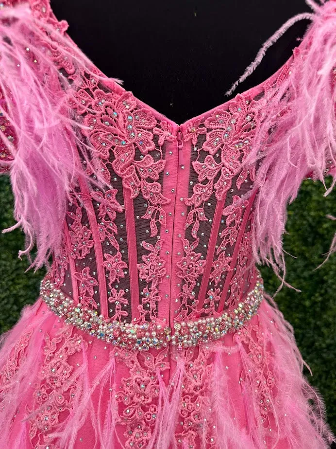 Ashley Lauren 11447 Size 4 Pink Long off the shoulder Feather Ball Gown Prom Dress Lace Corset Formal