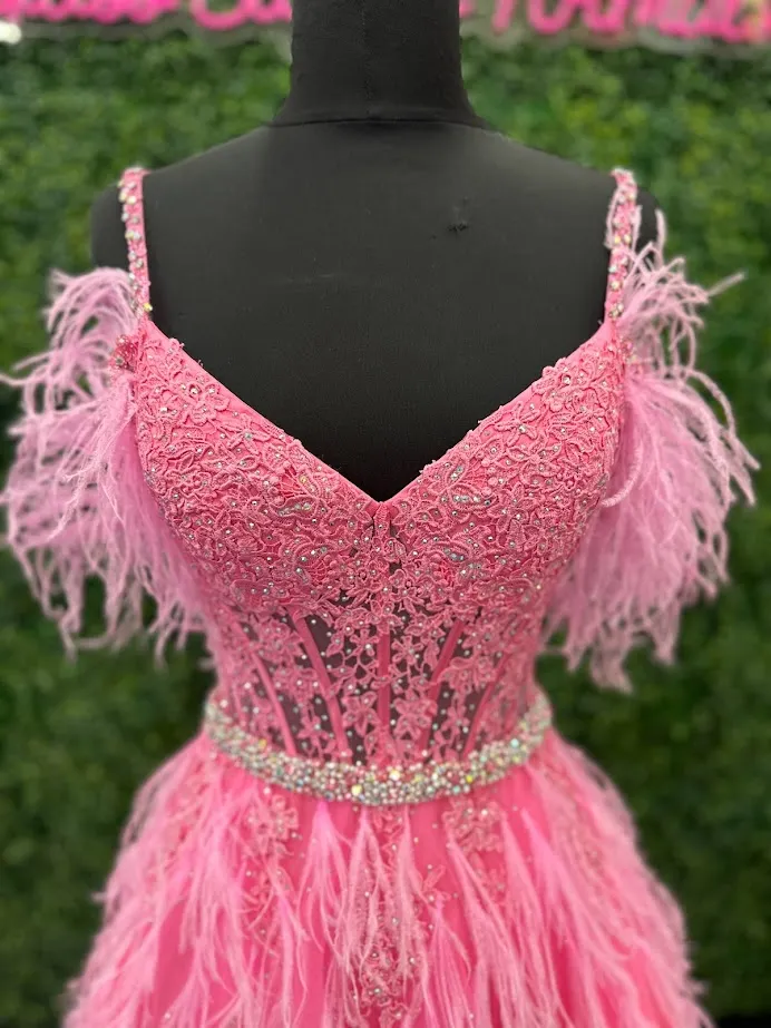 Ashley Lauren 11447 Size 4 Pink Long off the shoulder Feather Ball Gown Prom Dress Lace Corset Formal