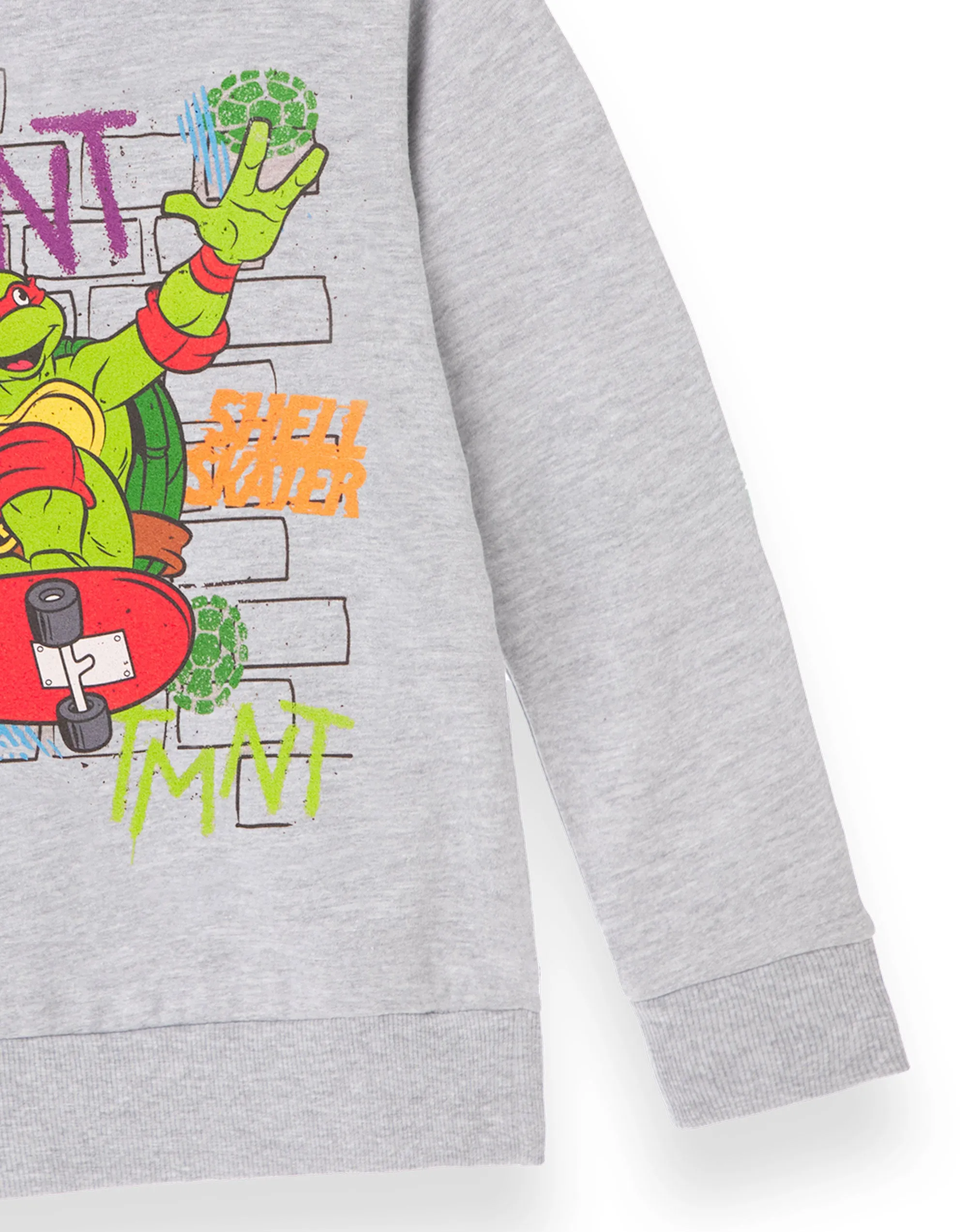 Teenage Mutant Ninja Turtles Kids Grey Raphael Skater Hoodie